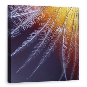 Tablou canvas - Gheata Si Flacara, Zapada, Fulg De Nea, Macro, Inghet, Gheata, 60 x 60 cm