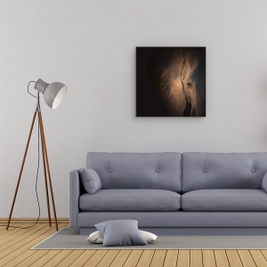 Tablou Canvas - Gigant Bland, Elefant, Botswana, Safari, 90 x 90 cm - Img 2