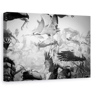 Tablou canvas - Haos, Ceata, Migratie, Lac, 60 x 90 cm