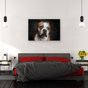 Tablou canvas - Hasi, Caini, Animale, Caine, Bulldog, Pet, 60 x 90 cm - Img 3