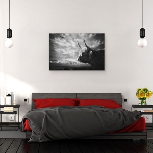 Tablou canvas - Highlands, Silueta, Bizon, Animal, Peisaj, Coarne, 40 x 60 cm - Img 3