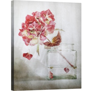 Tablou canvas - Hortensie, Vara, Floare, Rosu, 60 x 75 cm