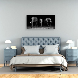 Tablou canvas - Iesind Din Intuneric, Elefant, Animale, Africa, Monocrom, Safari, 50 x 100 cm - Img 3