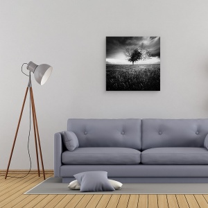 Tablou canvas - Iluzia Unei Primaveri Pierdute, Singuratic, Alb-Negru, Artistic, Pasari, 60 x 60 cm - Img 2