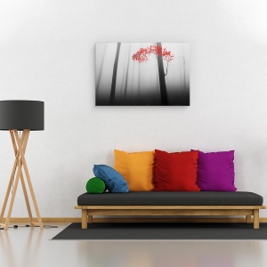 Tablou canvas - Iluzie, Ceata, Copaci, Padure, Stare De Spirit, Rosu, 60 x 90 cm - Img 2
