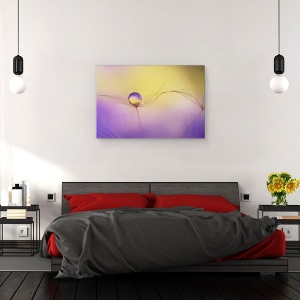 Tablou canvas - In Brate, Pana, Picatura, Picatura De Apa, Perla, 40 x 60 cm - Img 3