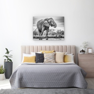Tablou Canvas - In Picioare Mandru, Natura, Animal, Colt, Elefant, Monocrom, 75 x 100 cm - Img 3