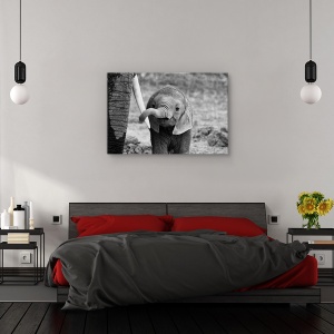 Tablou canvas - inchis, Nature, Elefant, Kenya, Africa, 80 x 120 cm - Img 3