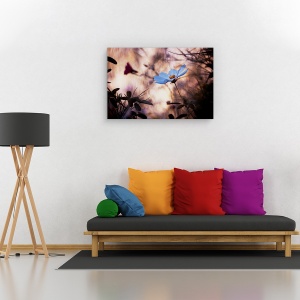 Tablou canvas - Indiferenta, Flori, Gradina, 60 x 90 cm - Img 2
