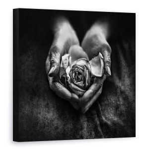 Tablou canvas - Ingrijirea Mainilor, Trandafir, Floare, Alb-Negru, 60 x 60 cm