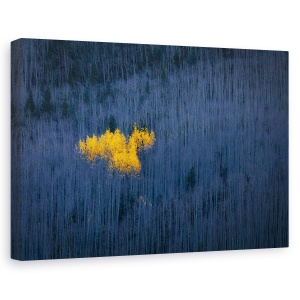 Tablou canvas - Inima De Aspens, Colorado, Toamna, 80 x 120 cm