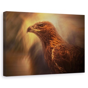 Tablou canvas - Instinct, Pasare, Animal, Vultur, Animale, 60 x 90 cm
