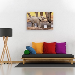 Tablou canvas - Joaca-Te Cu Mine, Te Rog, Salbatic, Natura, Animale, 40 x 60 cm - Img 2