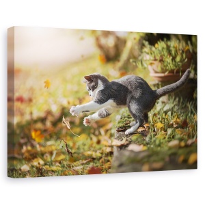 Tablou canvas - Joc De Toamna, Pisica, Pet, Animale De Companie, Acasa, 40 x 60 cm
