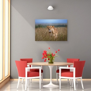 Tablou canvas - La Panda, Africa, Leu, Vanatoare, Feline, Leoaica, 40 x 60 cm - Img 4