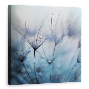 Tablou Canvas - Lacrimi, Picaturi, Roua, Abstract, Pene, 60 x 60 cm