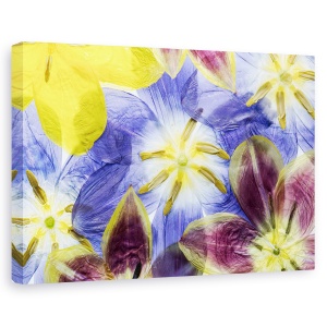 Tablou canvas - Lalele, Primavara, Floare, Floral, 80 x 120 cm
