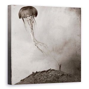 Tablou canvas - Legati, Meduze, Aplica, Lesa, Plumb, Zmee, 60 x 60 cm