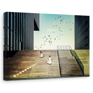 Tablou canvas - Liber Ca O Pasare, Scari, Paris, Franta, Aparare, Pasari, 40 x 60 cm