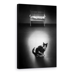 Tablou canvas - Liniste, Natura Moarta, Liniste, Alb-Negru, Alb-Negru, Scaun, 60 x 90 cm