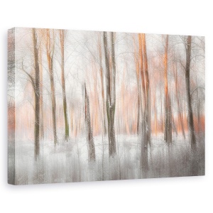 Tablou canvas - Lumina De Seara, Zapada, Copac, Ramura, 60 x 90 cm