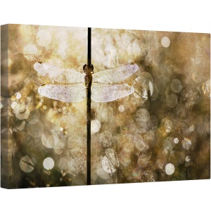 Tablou canvas - Lumina Diminetii, Lumina Soarelui, Reflectie, Libelula, Caldura, Vara, 60 x 90 cm