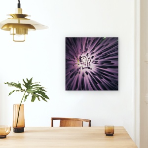 Tablou Canvas - Lumina In Interiorul, Violet, Floare, 60 x 60 cm - Img 4