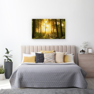 Tablou canvas - Lumina In Padure, Lumina, Padure, Stare De Spirit, Copaci, Padure, 50 x 80 cm - Img 3