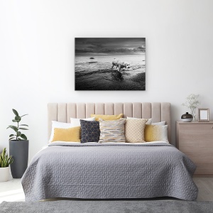 Tablou canvas - Lunga Calatorie Spre Casa, Caini, Animale, Apa, Oakville, 60 x 80 cm - Img 3