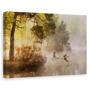 Tablou canvas - Lupta Cu Gasca, Gasca, Fens, Gaste, Gasca, Zbor, 60 x 90 cm