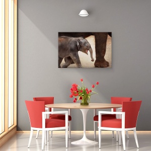Tablou canvas - Magia Mersului Pe Jos, Dragut, Animal, Copil, Cub, 40 x 60 cm - Img 4