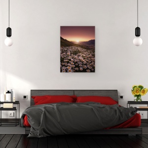 Tablou canvas - Mai Aproape De Soare, Peisaj, Margarete, Camp, Margareta, Munti, 60 x 80 cm - Img 3