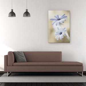 Tablou Canvas - Margarete De Pelerina, Flori, Bokeh, Macro, Delicat, Alb, 80 x 120 cm - Img 2