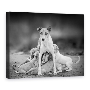 Tablou canvas - Maternitate, Caine, Mama, 75 x 100 cm