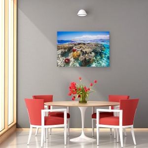 Tablou canvas - Mayotte Reciful, Recif, Mare, Ocean, Laguna, Mayotte, 40 x 60 cm - Img 3