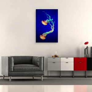 Tablou canvas - Meduza, Aquariu, Sub Apa, Meduze, Acvariu, 40 x 60 cm - Img 2