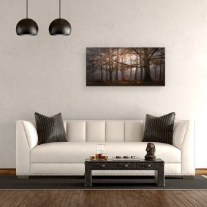 Tablou canvas - Memoria Incetosata A Trecutului, Mastbos, Cetos, Panorama, Abur, 50 x 100 cm - Img 2