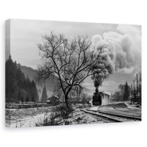 Tablou canvas - Mocanita Hutulca, Peisaj, Abur, Fum, Tren, Cale Ferata, 60 x 90 cm