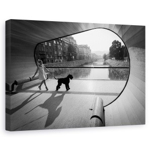 Tablou canvas - Moment Pe Pod, Caine, Schnauzer, Pod, Pet, Mers Pe Jos, 60 x 90 cm