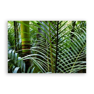 Tablou Canvas - Natura, Frunza, Verde, 80 x 120 cm