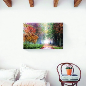 Tablou decorativ canvas cu peisaj de pădure toamna 80x120 cm