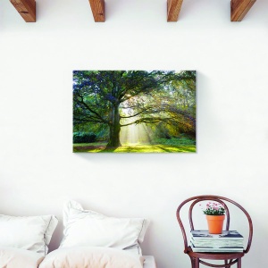 Tablou decorativ natură primăvară peisaj pădure pe canvas 60x90 cm
