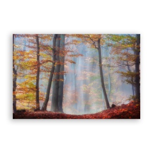 Tablou Canvas - Natura, Peisaj, Toamna, Padure, Frunze, 60 x 90 cm