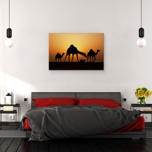 Tablou canvas - Nava Desertului, Camile, Animal, Apus De Soare, Desert, Grafic, 40 x 60 cm - Img 3