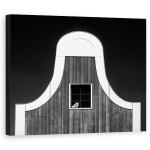 Tablou canvas - Ne Vedem, Pisica, Casa, Editare Creativa, Fereastra, Pisici, 60 x 75 cm
