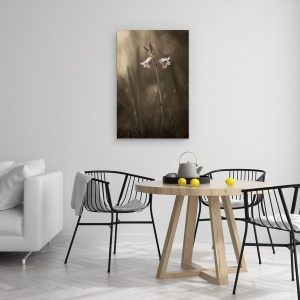 Tablou canvas - O Floare Mica Pe Pamant, Floare, Iarba, Sol, 40 x 60 cm - Img 4
