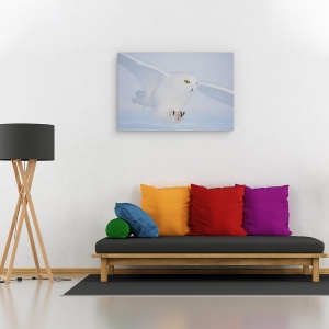 Tablou canvas - Ochi De Aur La Vanatoare, Zapada, Bufnita, Alb, Luminos, 60 x 90 cm - Img 2