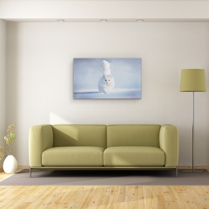 Tablou canvas - Ochi Galbeni, Pisica, Zapada, Alb, Pet, Animal, 50 x 80 cm - Img 2