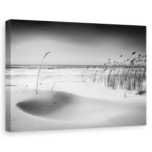 Tablou canvas - Orchestra, Peisaj, Plaja, Nisip, Alb-Negru, 40 x 60 cm