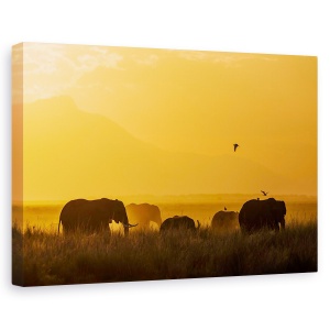 Tablou canvas - Pace, Elefant, Africa, Familie, Apus De Soare, 40 x 60 cm